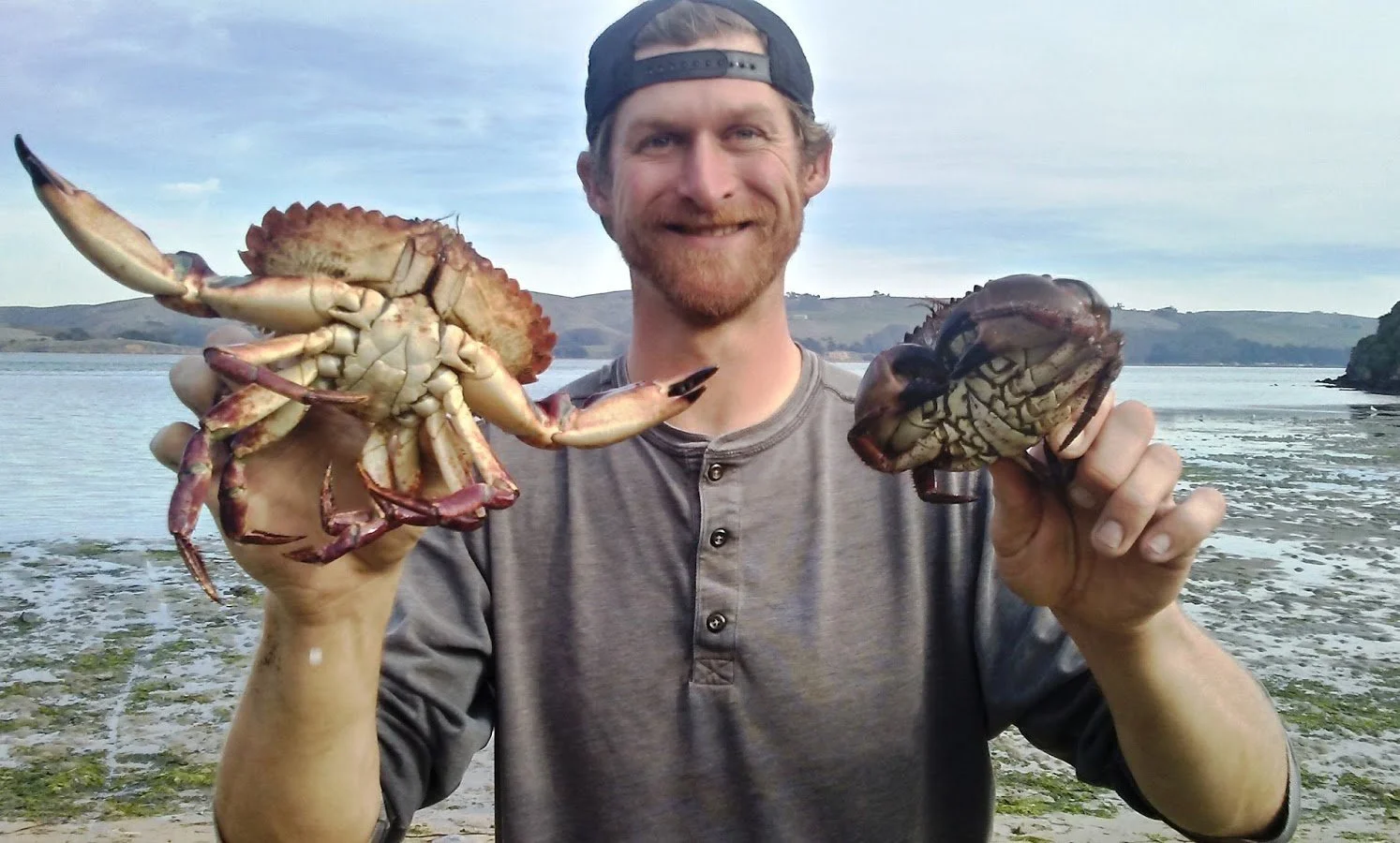 Coastal crab harvest with forageSF