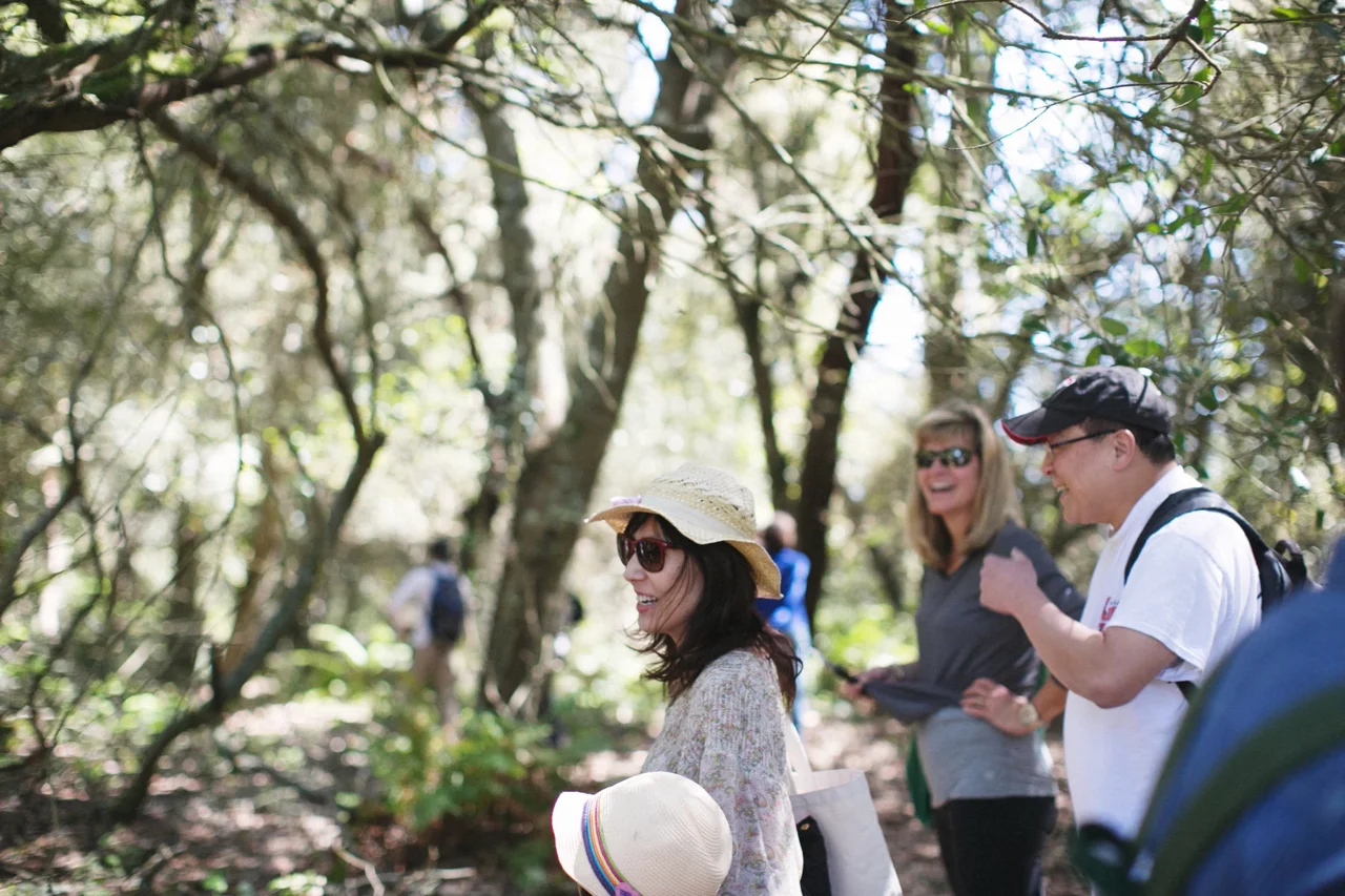 forageSF group learning outside in the Bay Area